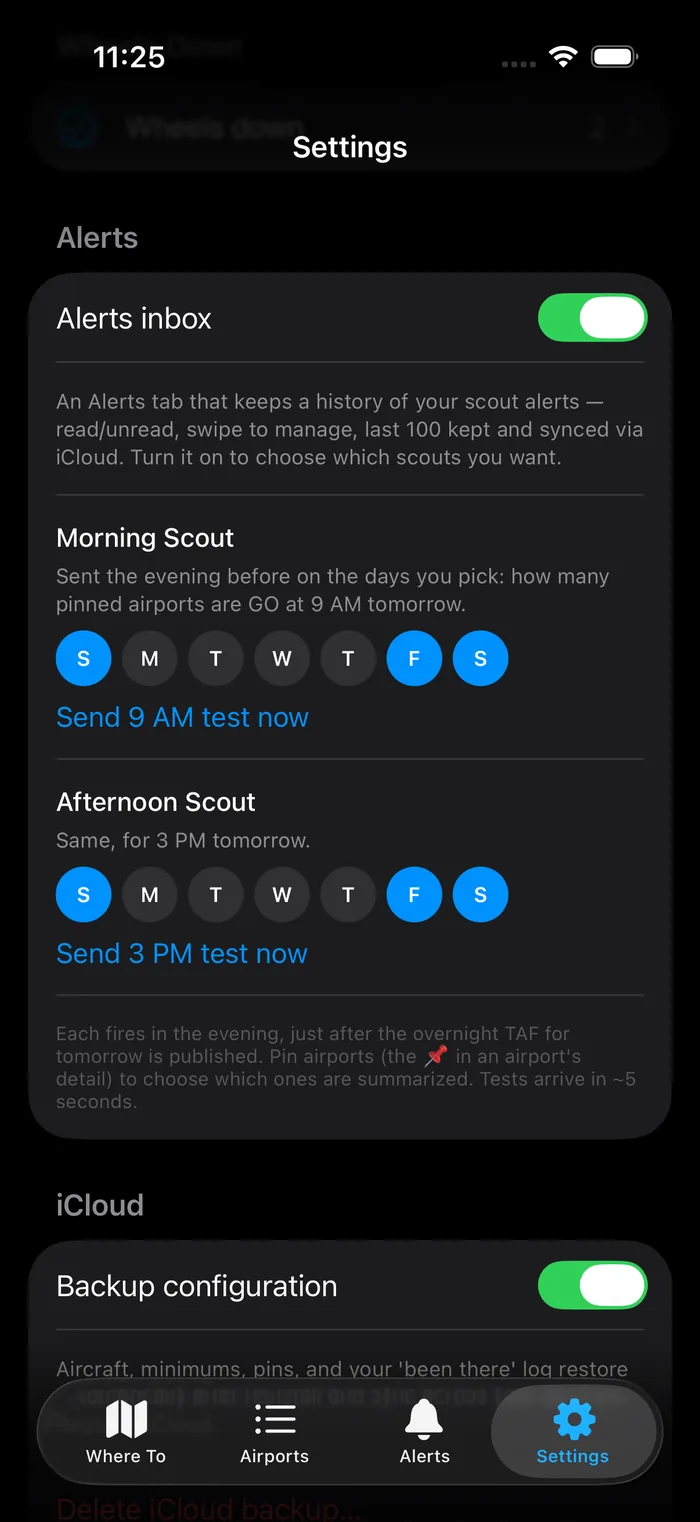 Scout settings — pick the days for the morning and afternoon GO heads-up.